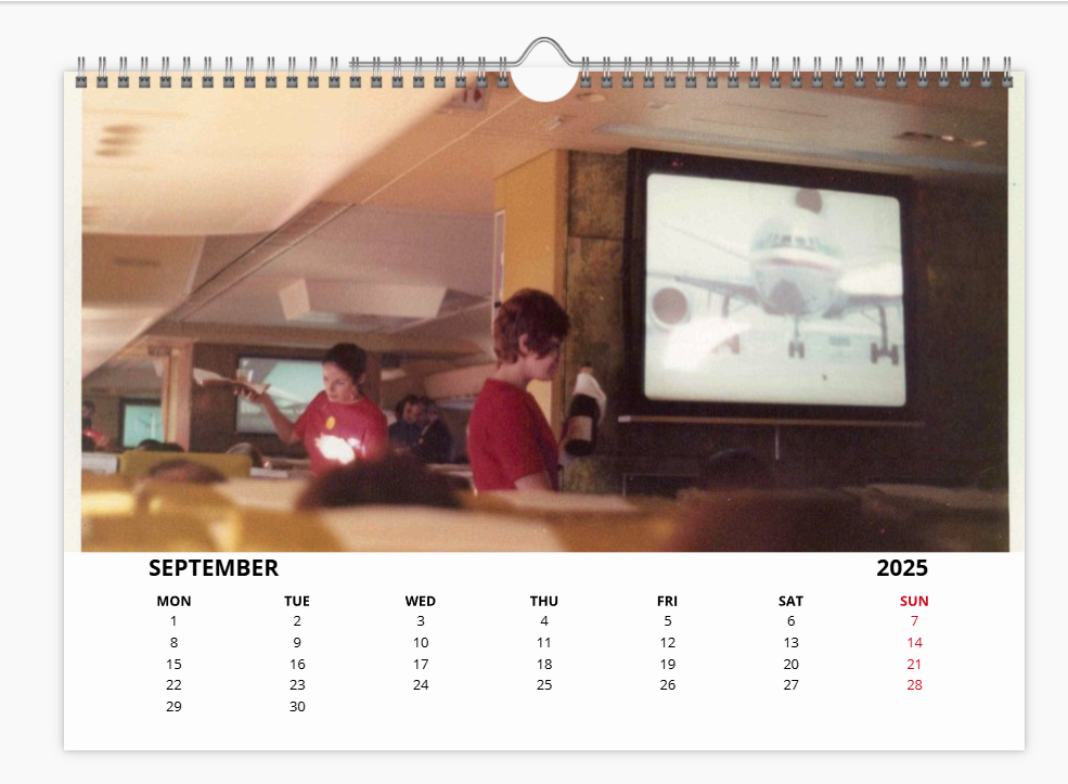 LAKER AIRWAYS 2025 Aircraft Tribute Calendar A4 WALL Calendar