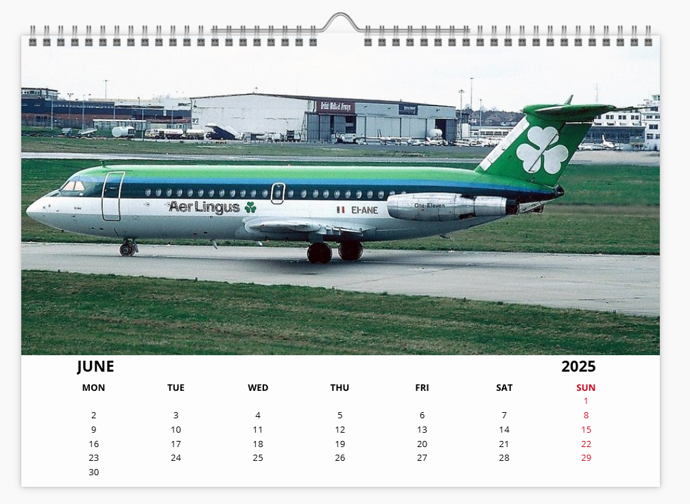 AER LINGUS 2025 Tribute Calendar Wall Calendar A4 Landscape