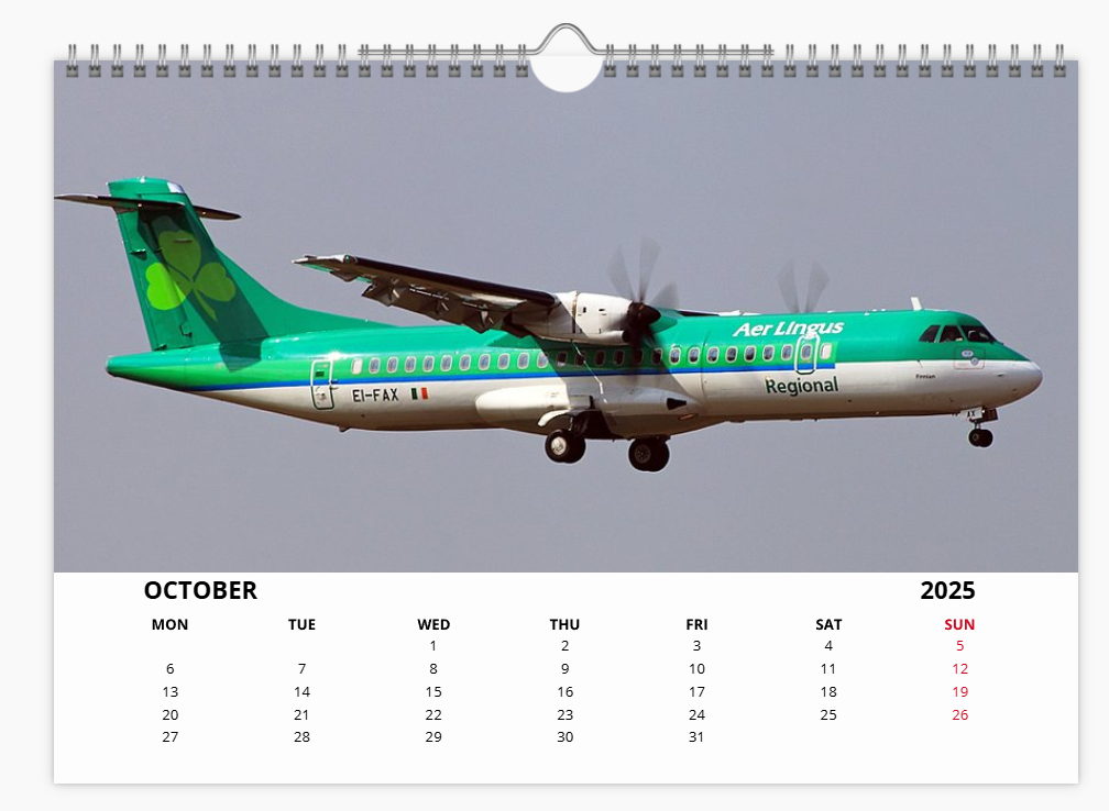 AER LINGUS 2025 Tribute Calendar Wall Calendar A4 Landscape
