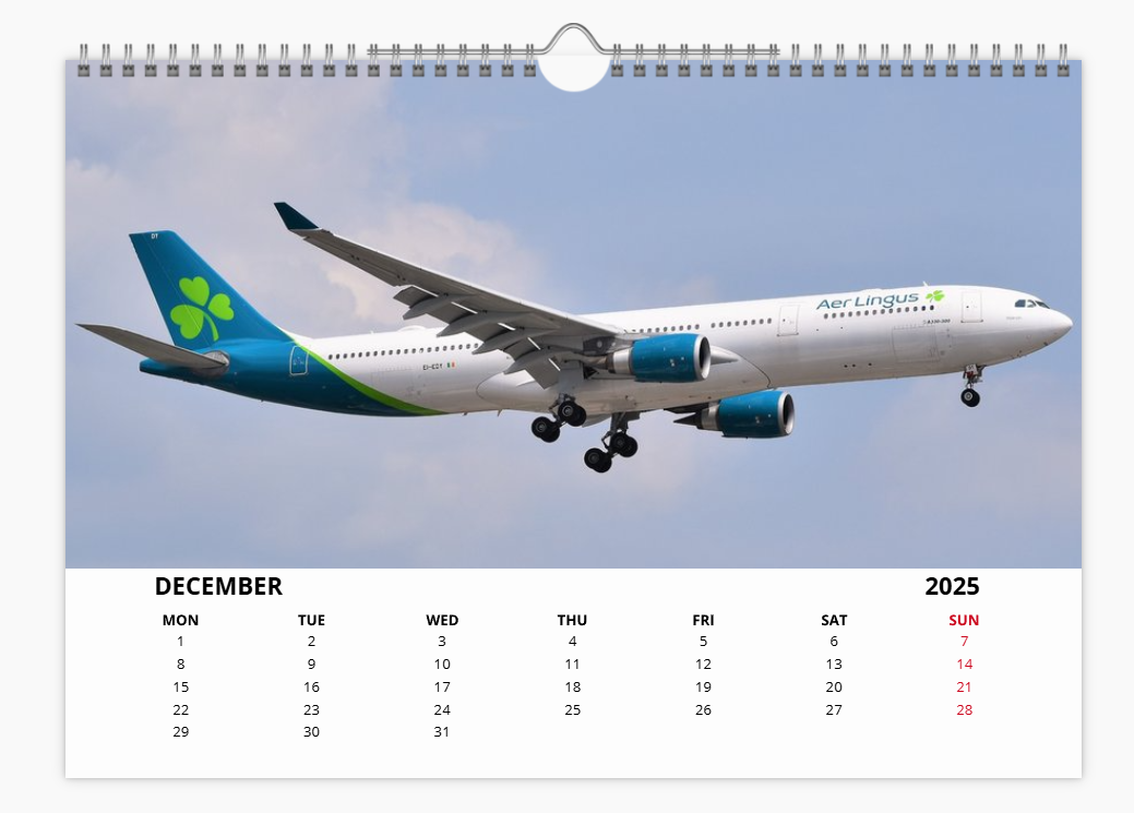 AER LINGUS 2025 Tribute Calendar Wall Calendar A4 Landscape