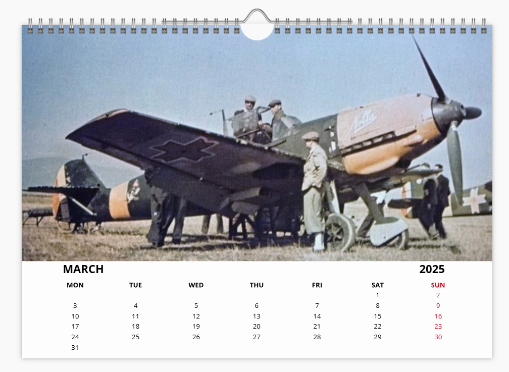 Messerschmitt 109 Luftwaffe Fighter 2025 Aircraft Tribute Calendar A4 WALL Calendar