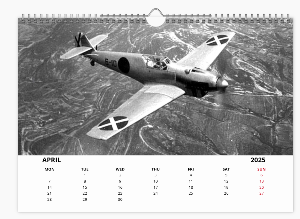 Messerschmitt 109 Luftwaffe Fighter 2025 Aircraft Tribute Calendar A4 WALL Calendar