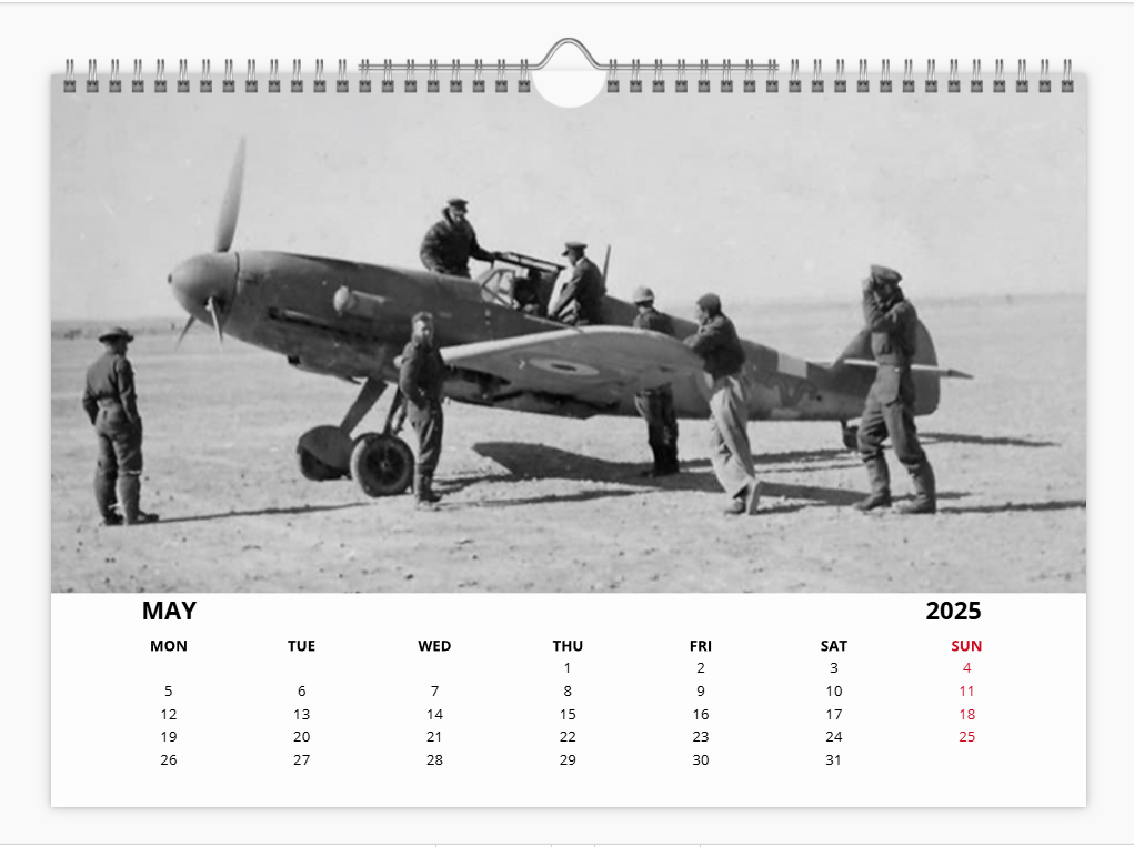 Messerschmitt 109 Luftwaffe Fighter 2025 Aircraft Tribute Calendar A4 WALL Calendar