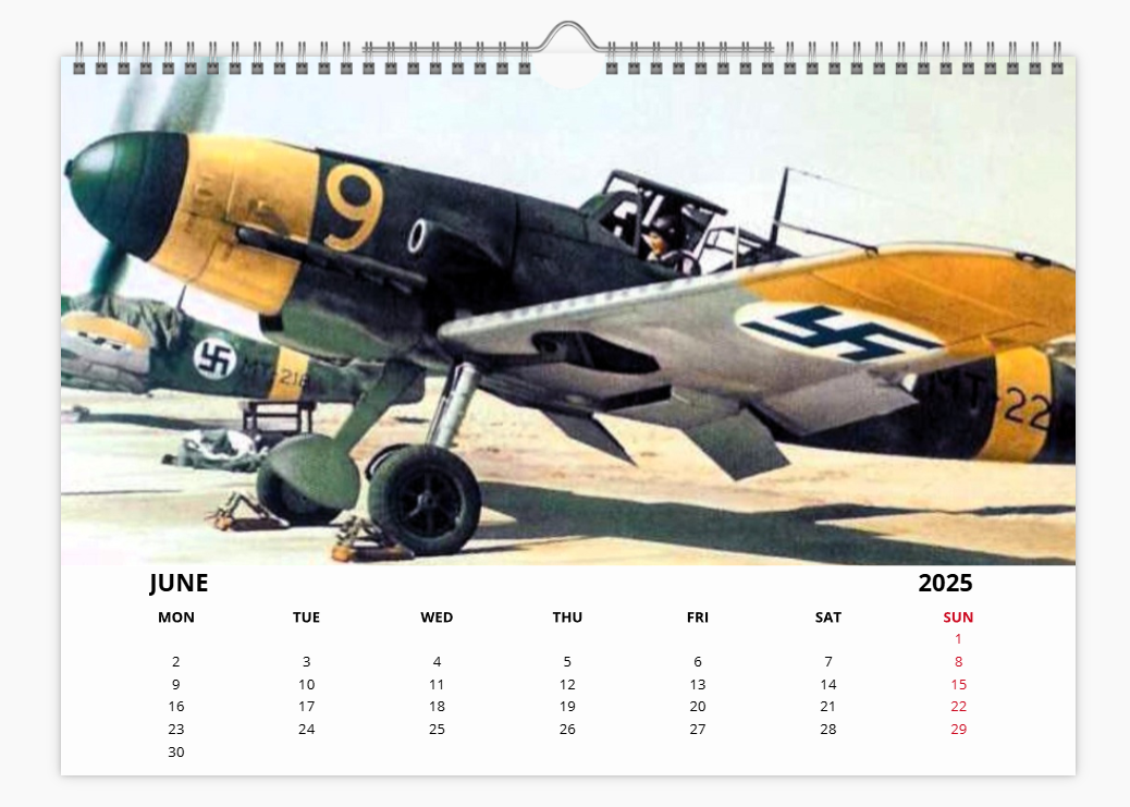 Messerschmitt 109 Luftwaffe Fighter 2025 Aircraft Tribute Calendar A4 WALL Calendar