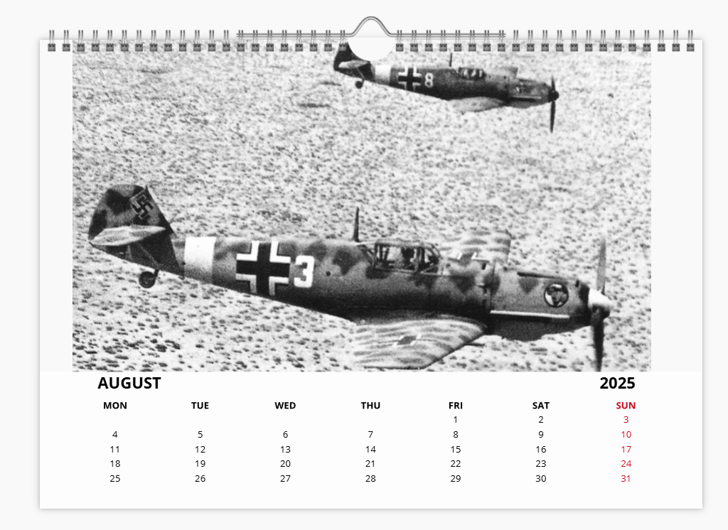 Messerschmitt 109 Luftwaffe Fighter 2025 Aircraft Tribute Calendar A4 WALL Calendar