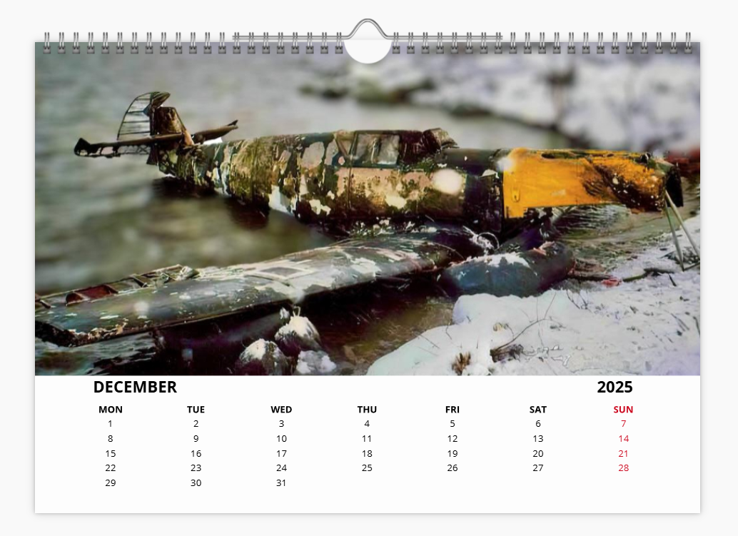 Messerschmitt 109 Luftwaffe Fighter 2025 Aircraft Tribute Calendar A4 WALL Calendar