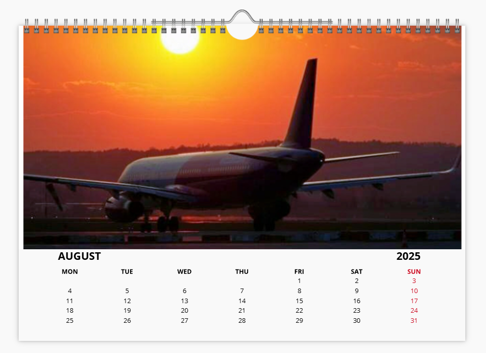 WIZZAIR 2025 Aircraft Tribute Calendar A4 WALL Calendar