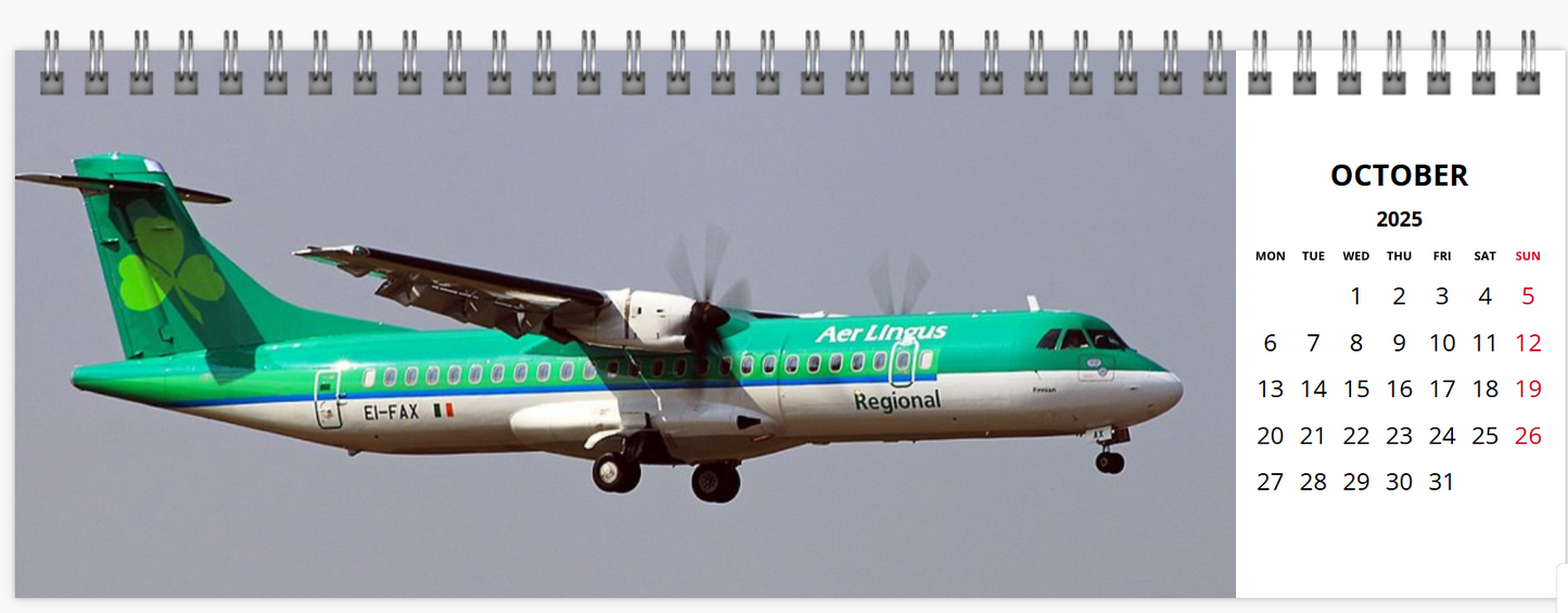 AER LINGUS 2025 Tribute Calendar LARGE DESK Calendar