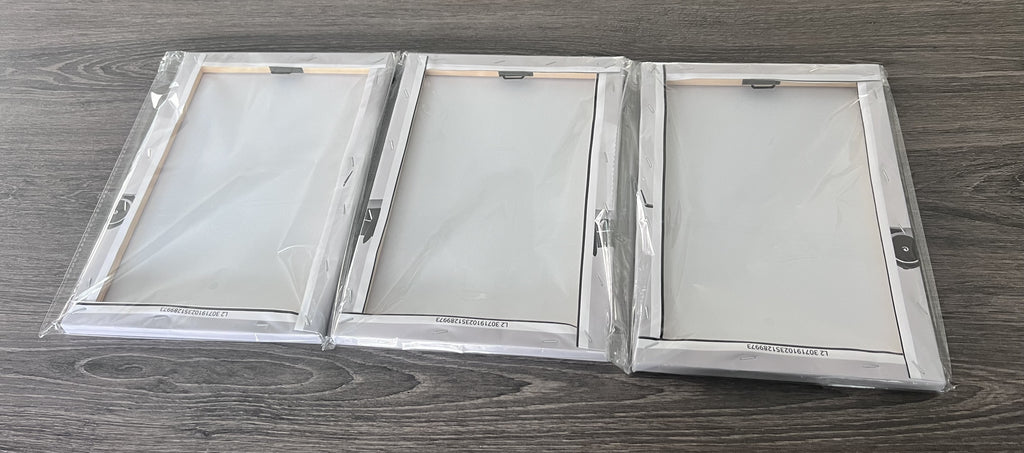 Boeing 747 Canvas Print x 3