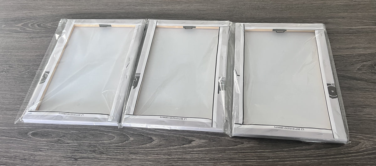 Boeing 747 Canvas Print x 3