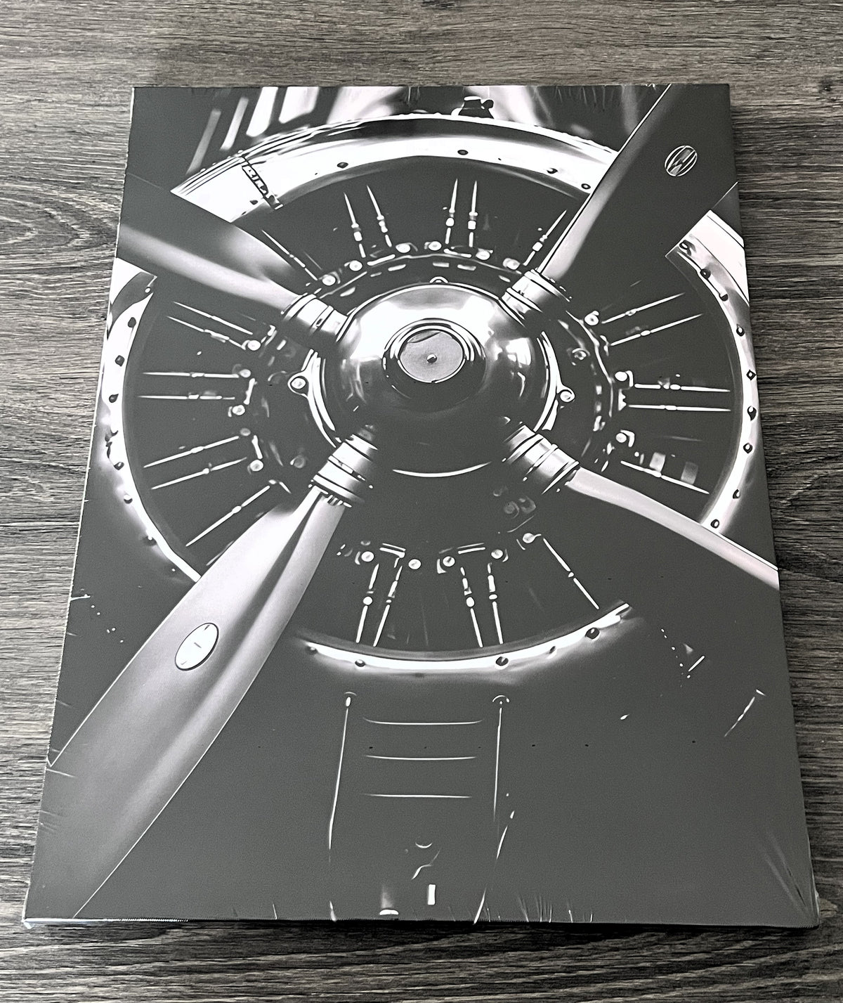 Piston Engine Aircraft Canvas Wooden Frame