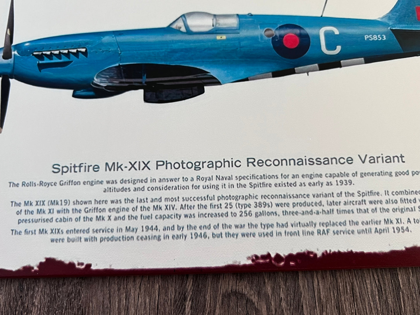 RAF Supermarine Spitfire Fighter XIX Photo Recon Aircraft Metal Wall Picture Plaque 30x20cm 12x8"
